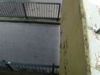 DSC00398