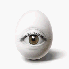 egg05