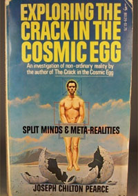 b-cosmic-egg