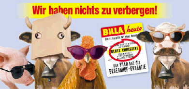 Bildbeschreibung3