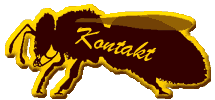 Kontakt