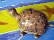 Butterdose Schildkröte