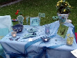 Vielfalt in blau