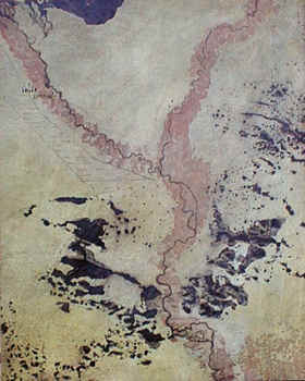 veduta cerebralis