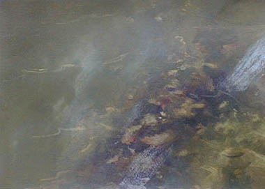 wasser04 karton ehrwald- 1999
