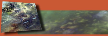 wasserbilder