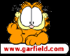 pic_link_garfield.gif (4340 Byte)