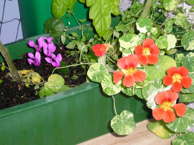Bild 72