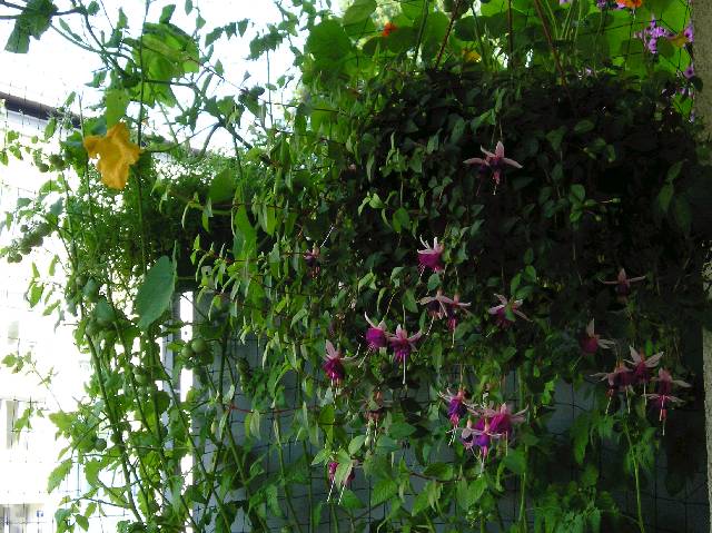 Bild 72