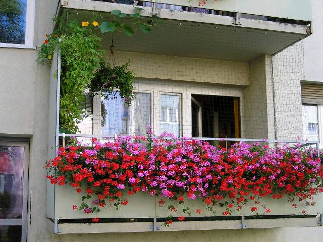 Bild 72