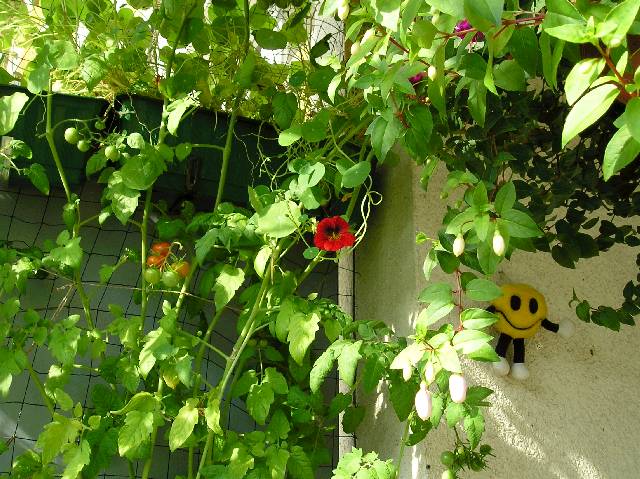 Bild 72