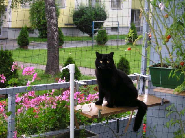 Bild 72