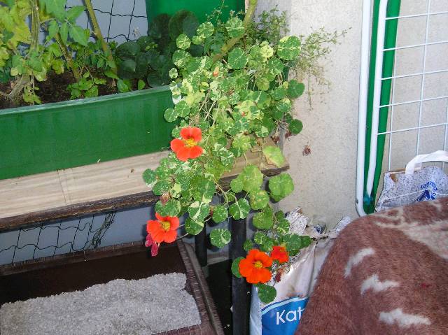 Bild 72
