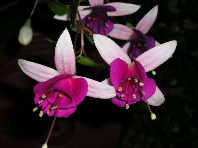 Bild 72