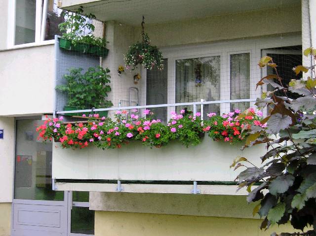 Bild 72