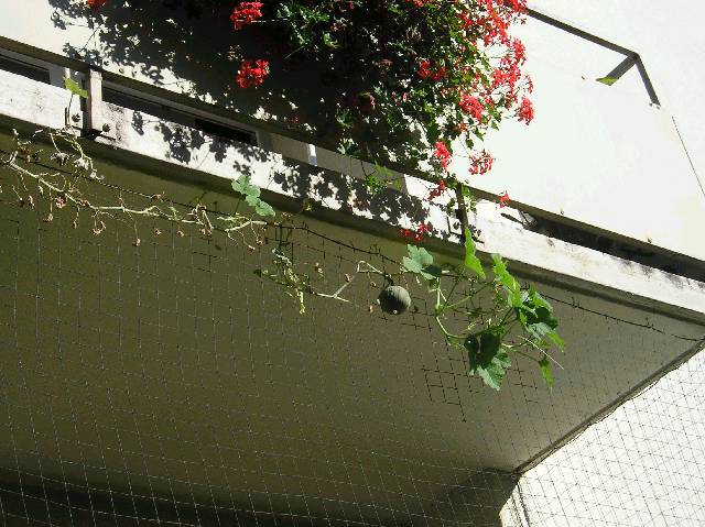 Bild 72