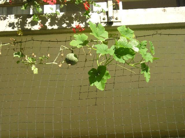 Bild 72