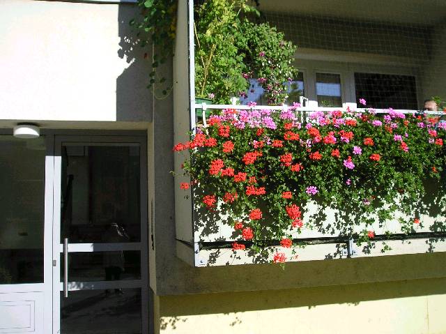 Bild 72