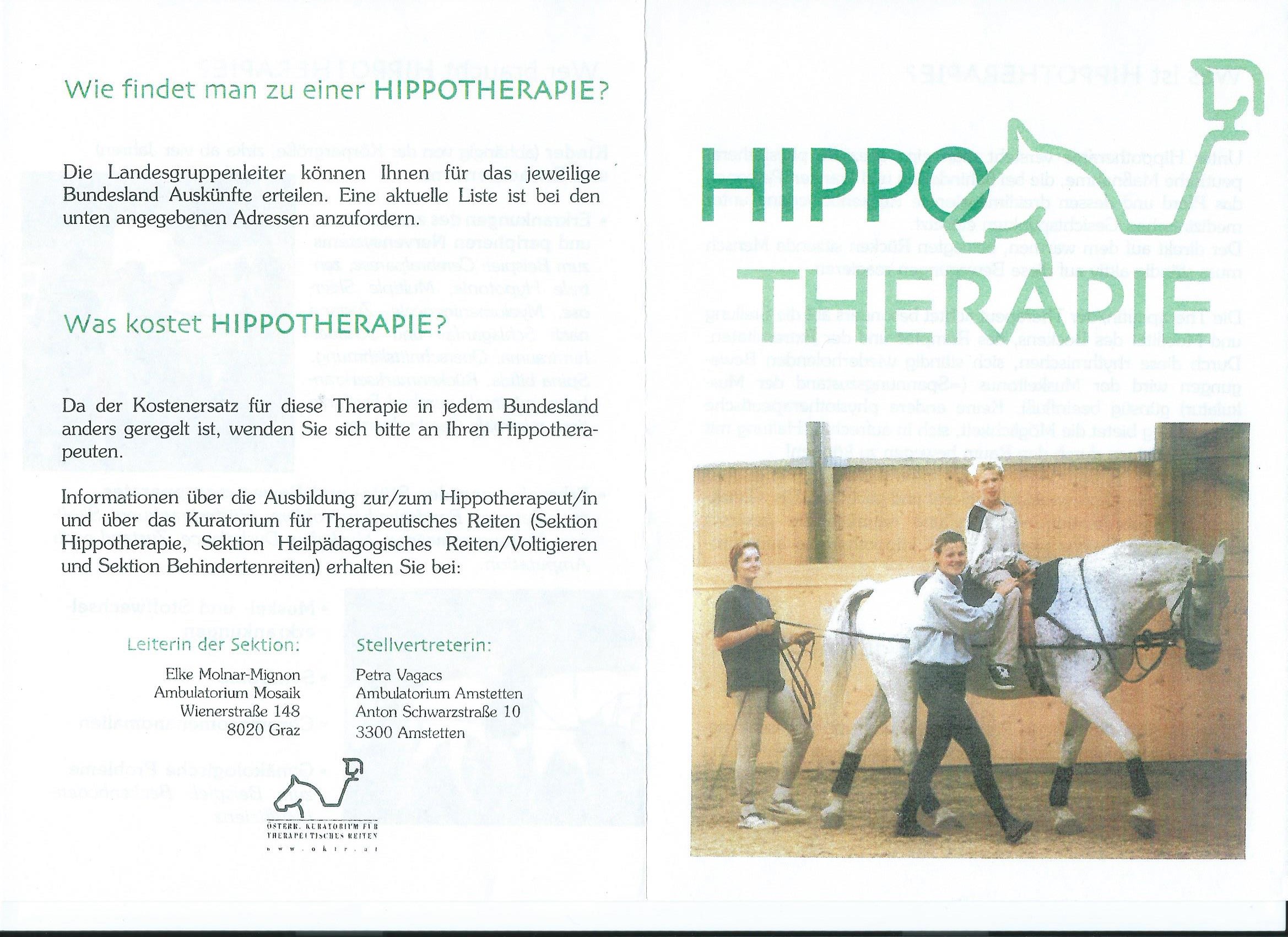 Hippo Info 1
