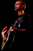 guitar also