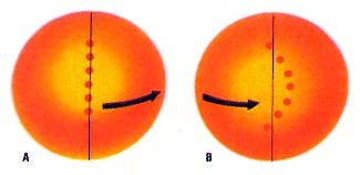 Lngendrift der Sonnenflecken