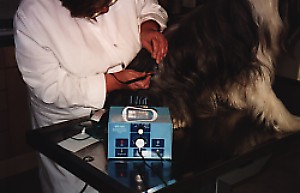 Tierordination Elderschplatz - Elektrochirurgie