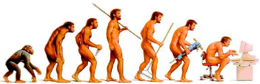 Evolution of the Human?