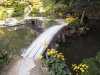 Thumbnail 240-ShukkeienGarden.jpg 