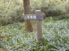 Thumbnail 448-Signpost.jpg 