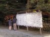 Thumbnail 571-HachimanguShrine.jpg 