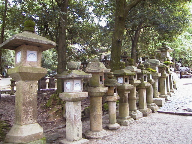 165-KasugaShrine.jpg 