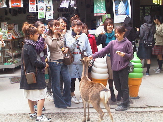 168-KasugaShrine.jpg 