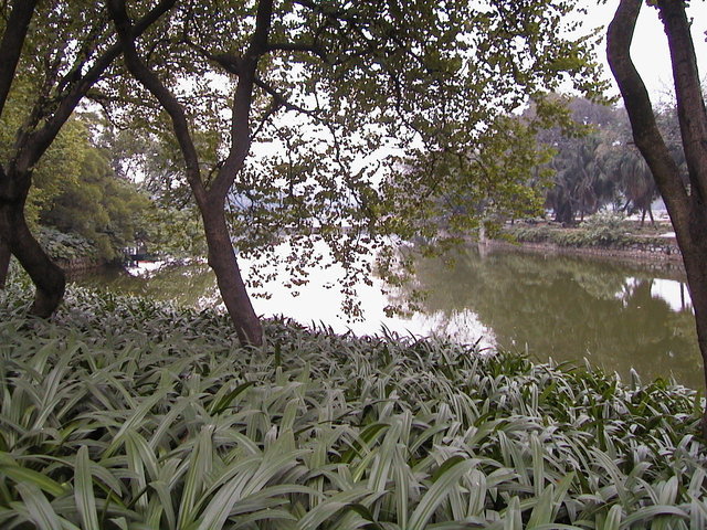 081-BonsaiGarten.jpg 