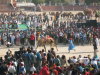 Thumbnail 396-CamelFestival.jpg 