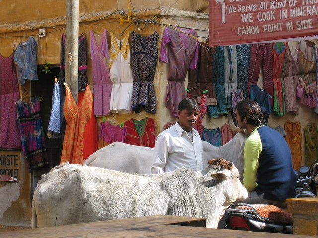 462-Jaisalmer.jpg 