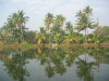 Thumbnail 068-Alleppey.jpg 