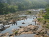 Thumbnail 453-Kerala.jpg 