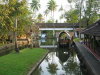 Thumbnail 539-CoconutLagoonKumarakom.jpg 