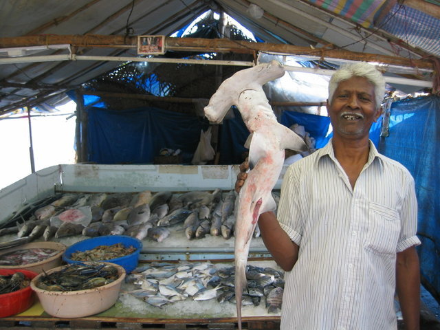 118-Fischmarkt.jpg 