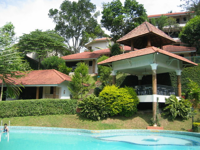 388-CardamomCountyPeriyar.jpg 