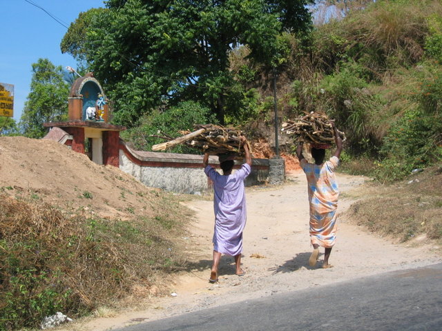 469-Holztraegerinnen.jpg 