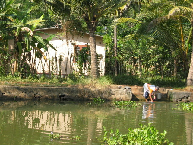 495-Kumarakom.jpg 