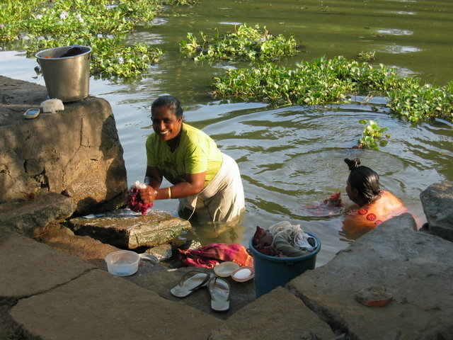 534-Kumarakom.jpg 