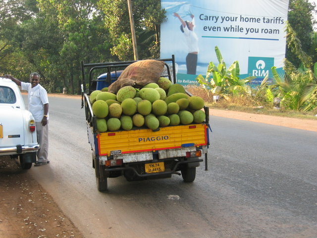 783-Jackfruit.jpg 