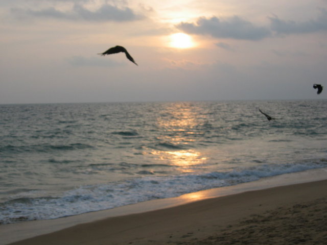 813-KovalamBeach.jpg 