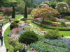 Thumbnail 0506-ButchartGarden.jpg 