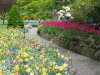 Thumbnail 0529-ButchartGarden.jpg 