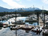 Thumbnail 1064-Sitka.jpg 