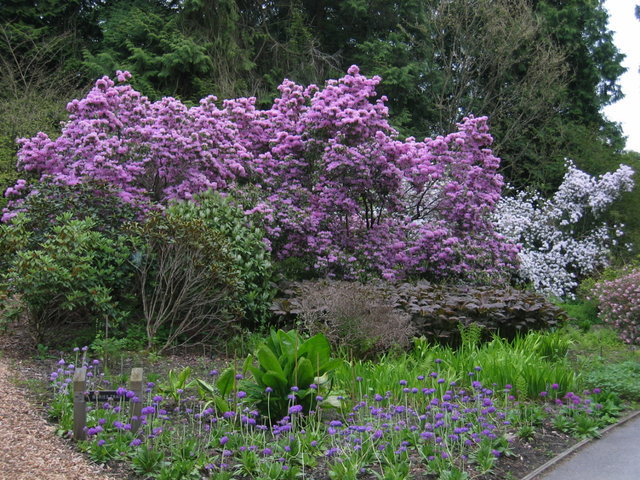 0108-UBCBotanical.jpg 