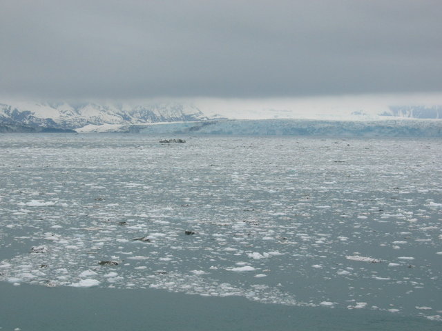 0867-HubbardGlacier.jpg 